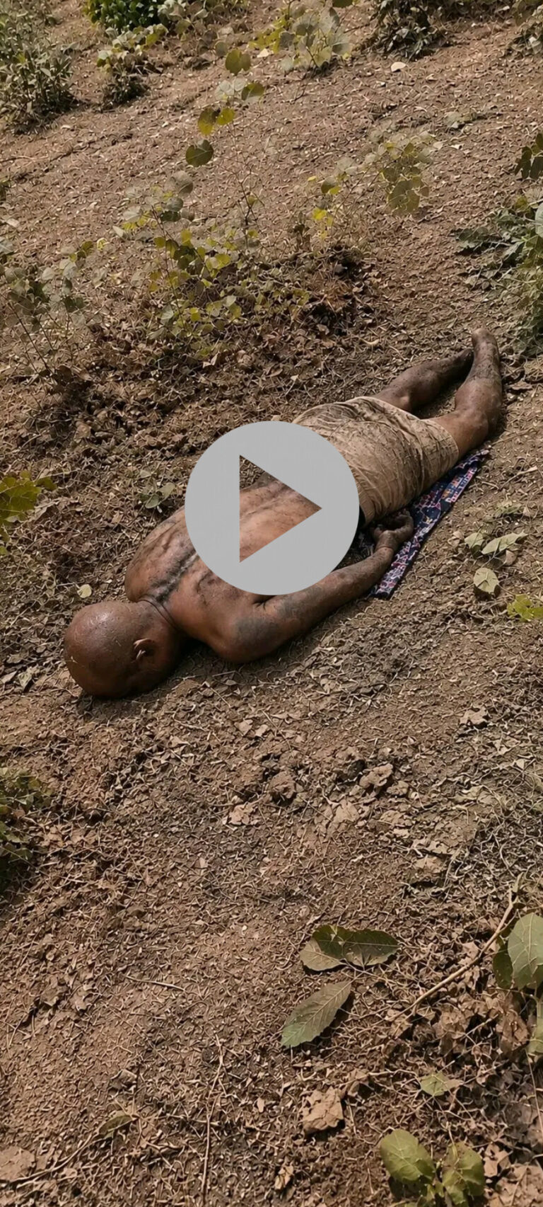 ASSISTIR AGORA: vídeo mostra momento que encontram corpo saindo duas cob…ver mais